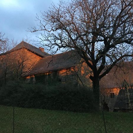 Le Chateau De Lunel Saint-Félix-de-Lunel Exterior foto